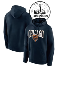 baerskin hoodie