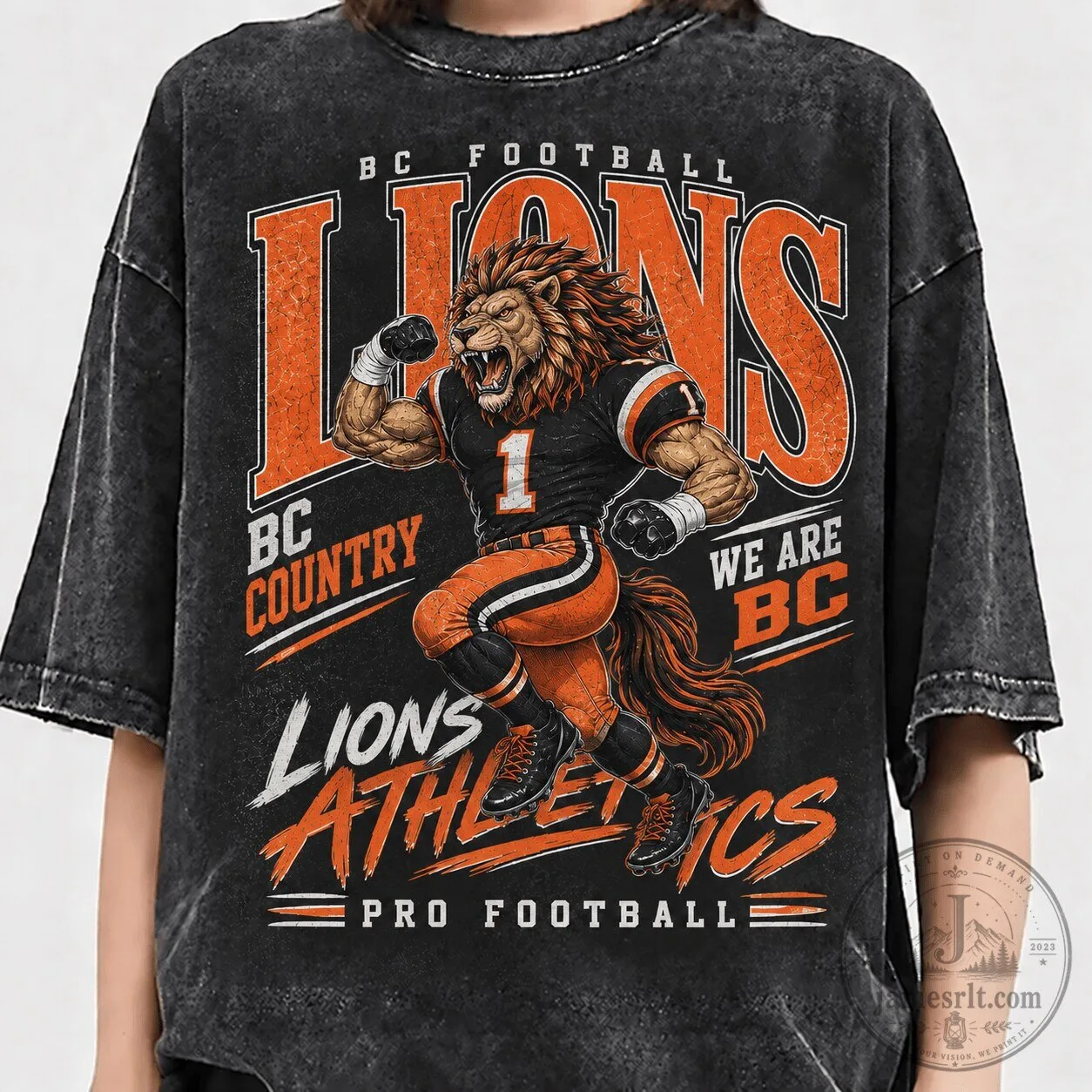 BC Lions Football Vintage Washed 1D Fan T-Shirt